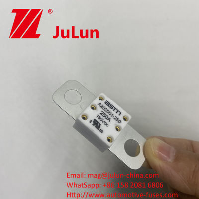 Ceramic Automotive Fuses 150VDC 300A A202001 with Mounting Method SCREW BOLT Electrical Characteristics 1.0In 4 Hours 3.0In 10s Max