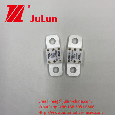 SCREW BOLT Mounting A202001-300A 150VDC Ceramic Automotive Fuses Suitable for Power Conversion 150VDC Output Voltage