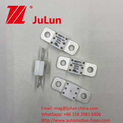 Automobile Energy Storage A202001 150A 150VDC Power Conversion Application Ceramic Automotive Fuses Rated at 150VDC 16-20KA 400A 500A