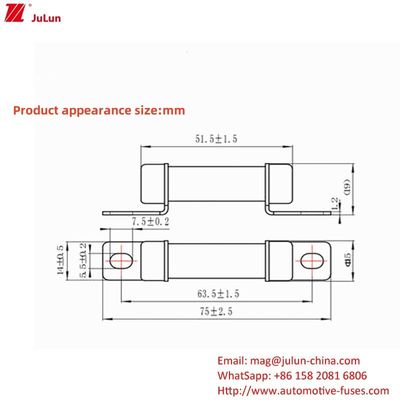 RS309 32A-35A -40A -50A Current Ev Charger Adapter Compatible with 750VDC Voltage