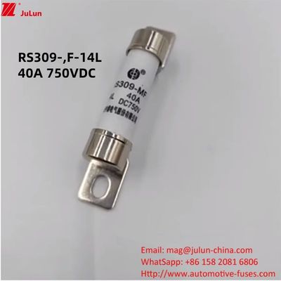Energy Electric Vehicle Fuse 750VDC Protection DC Fuse for EV HEV Application Scenario Ships Terminal Type