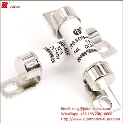 Energy Electric Vehicle Fuse 750VDC Protection DC Fuse for EV HEV Application Scenario Ships Terminal Type