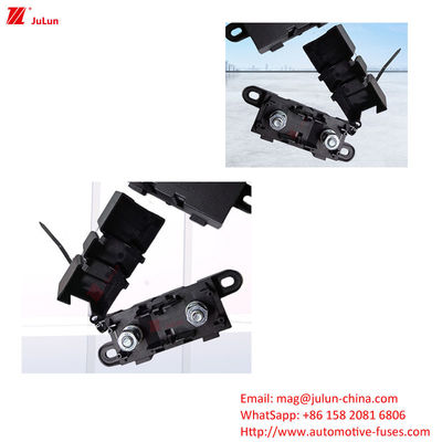 Select And Customize ANM Plug Type Fuse/Box For M6 M8 M10 Rated Current 40A-500A