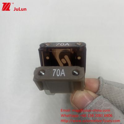 Automotive ATM Auto Blade Fuses 30A 32V