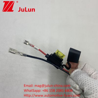 15A Fuse Holder Wire Harness with Automotive Electric Vehicle Wire Harness EV Wiring Assembly with Fuse Protection