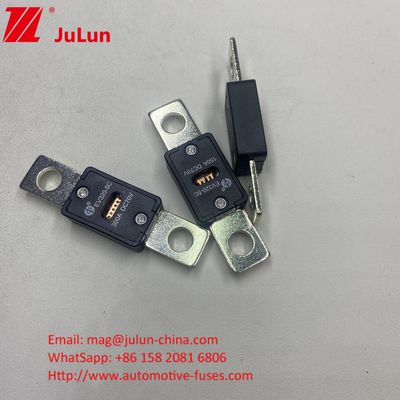 Automotive Blade Fuses EV320-3X-150A 70VDC Bolt M8 Installation Mode For Automotive Auto