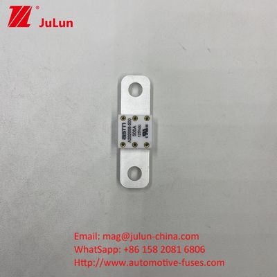 Automotive Circuit Breakers A202008 100A 100VDC EV FUSE ASTM