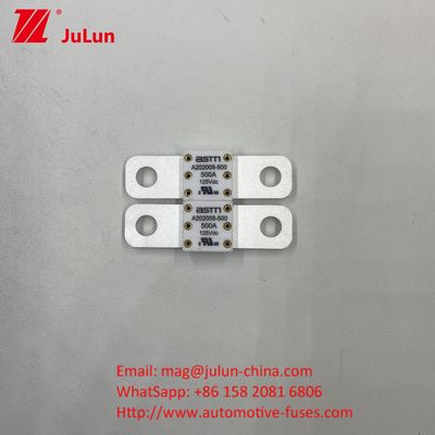 Automotive Circuit Breakers A202008 100A 100VDC EV FUSE ASTM