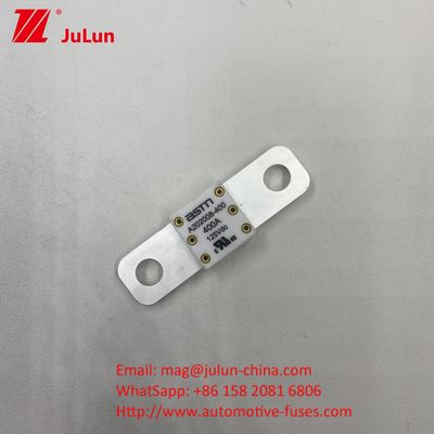 ASTM A202008 250A 125VDC Electric Vehicle Fuse Hole Distance 50.8mm 100A 125A