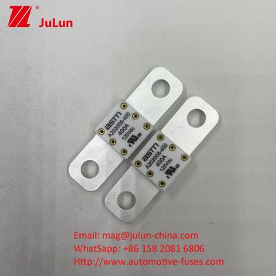 Powerful Automotive Battery Charger Fuse ASTM A202008 150A 125VD Batteries And 50.8mm Hole Distance