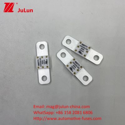 100 A 125V DC Car Battery Fuse Provide Reliable And Efficient Protection