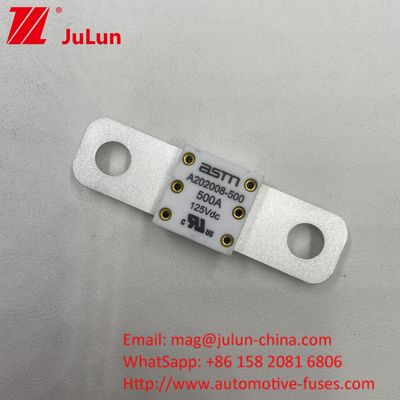 ASTM 250A 125V Ceramic White Color Fuse In Car Battery