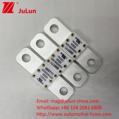 ASTM Automotive Car Battery Fuse 300A 125VDC Origin