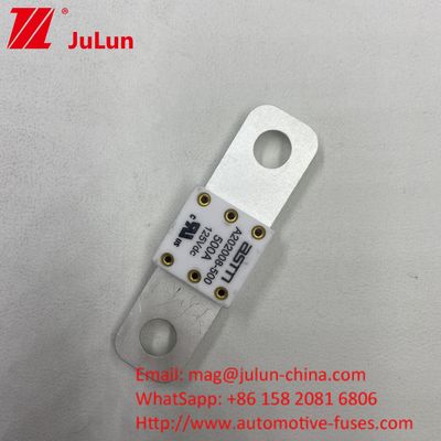 100A 150A 200A 125VDC Battery Fuse In Car Market