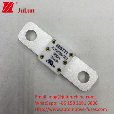 125VDC 200A ANM AMM AEGA ANL CNN CNL Car Battery Fuse For Automotive