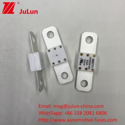 Professional A202008 300A 125VDC Heavy Duty Automotive Battery Charger Fuse 100A 150A 200A 250A 300A 350A 400A 500A 20KA Breaking Capacity
