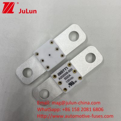 Professional A202008 300A 125VDC Heavy Duty Automotive Battery Charger Fuse 100A 150A 200A 250A 300A 350A 400A 500A 20KA Breaking Capacity