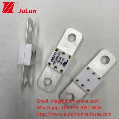 Professional A202008 300A 125VDC Heavy Duty Automotive Battery Charger Fuse 100A 150A 200A 250A 300A 350A 400A 500A 20KA Breaking Capacity