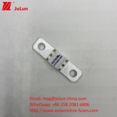 Short Circuit Protection 80A 125VDC Ceramic Automotive Fuses With High Breaking Capacity 8KA 6KA 3KA 50A 60A 80A 100A 150A 200A 250A 300A 350A