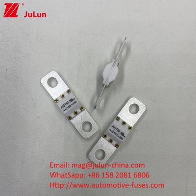 300A 125VDC High Breaking Capacity Ceramic Automotive Fuses for Power Conversion