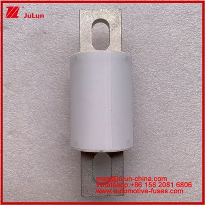 RS309-MD 400A 500VAC 200KA 500VDC 50KA AR Tubular Ceramic Automotive Fuses Bolt Installation Semiconductor Protection