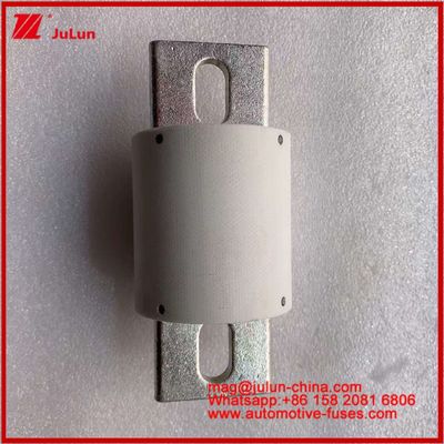 500VDC 200KA 500VAC 50KA AR Tubular Ceramic Fast Fuse FUSE RS309-MD 500A For Electric Vehicles And Power Battery Systems