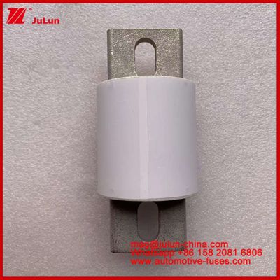 Power Drive Power Systems Ceramic Auto Fuses RS309-MD 600A 500VAC 200KA 500VDC 50KA AR Tubular Electric Vehicles 30-800A