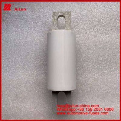 Road Vehicle Tubular Ceramic Fuse RS309-MF 200A 750VDC UL High Breaking Capacity