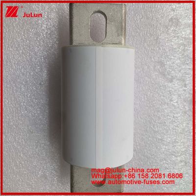 RS309-MF S 600A 750VDC Road Tubular Ceramic  Automotive Devices And Equipment 50KA Energy Storage And Power Systems Frequency Conversion Controllers FUSE  Chargers Electric Vehicle