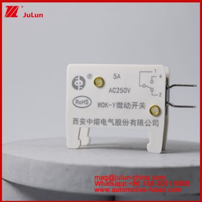 WDK-Y 5A 250V Micro Switch Automobile Mount Fuse For EV / HEV Vehicle Special Designed Fuse Base For Vehicle Situation