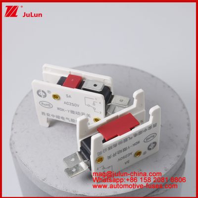 WDK-Y 5A 250V Micro Switch Automobile Mount Fuse For EV / HEV Vehicle Special Designed Fuse Base For Vehicle Situation