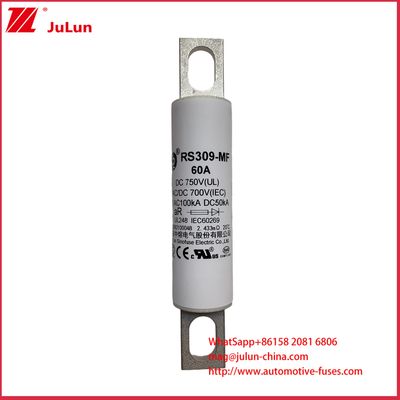 RS309-MF 60A DC750CHeavy Trucks Charging Pile  Electric Cars Electric Buses Electric Light Trucks And Electric  Fuse