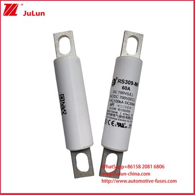 RS309-MF 60A DC750C Heavy Trucks Charging Pile  Electric Cars Electric Buses Electric Light Trucks And Electric  Fuse
