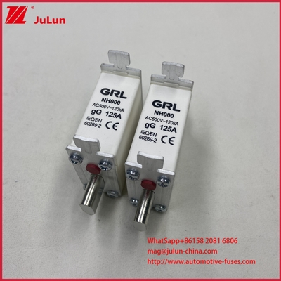 225A 160A 125A NT000/NH000 125A Fuse Link/holder Balde Fuse Ceramic Porcelain Fuse Base