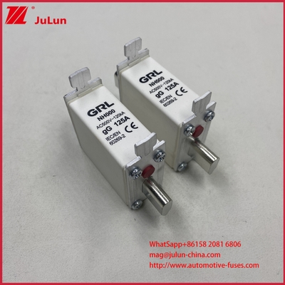 225A 160A 125A NT000/NH000 125A Fuse Link/holder Balde Fuse Ceramic Porcelain Fuse Base