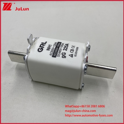 NH000 NT000 300A 225A 500V 120kA High Breaking Capacity Fuse Fuse Link with GG-gL Knife Contactor Blade