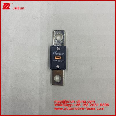 20A-500A Rated Current Auto-Blade Fuses with Maintain Stability Grade