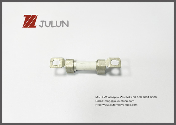 FWP 700V 50A Photovoltaic Ceramic Electric Vehicle Fuses 500VDC 5 - 50A Advance Auto