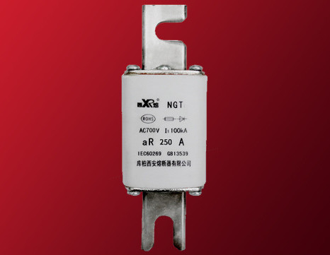 Cangbai Cyci Semiconductor Protection Fuse NGT 700V 800V Original Genuine