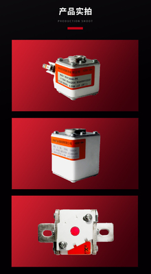 Melting Fast Semiconductor Protection Fuse RSG-1 / RSG-2 / RSG-A3-MK-ZK-PC-APK