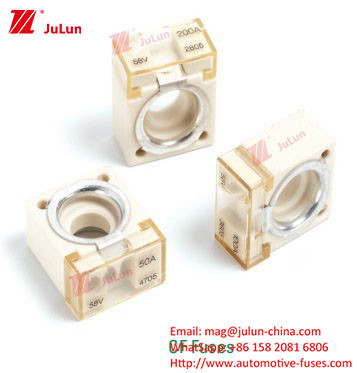 Waterproof Electric Vehicle Fuse With Safety Voltage For -55-125.C Operating Temperature