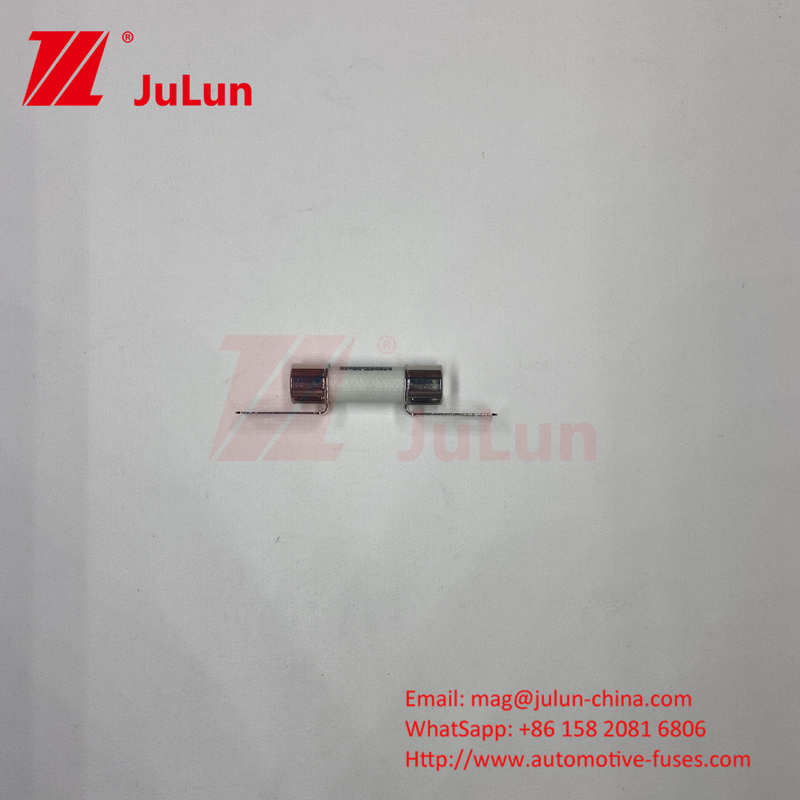 DC750V 10A-100A Boxed EV Fuse For Electric Vehicle Traction System Energy Storage 25A 30A 50A EV FUSE