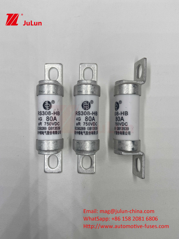 EV Electric Vehicle Fuse For DC750V FUSE DC750V 10A 15A 20A 25A 30A For Automobile Application RS308