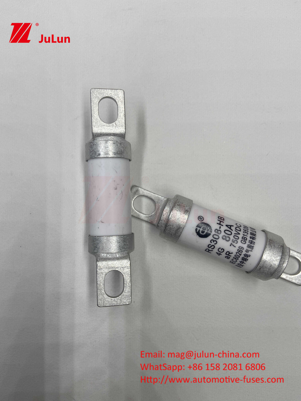 750VDC Ceramic Automotive Fuses 14.	Ceramic Tube 20x46mm 15A 40A 50A RS308 HB G FUSE 750VDC EV325 100A