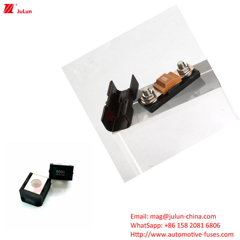 ANS / MIDI Small Premium Fuse Holder Auto Spare Parts Dealer For 30A-500A EU UL Standard Bolts