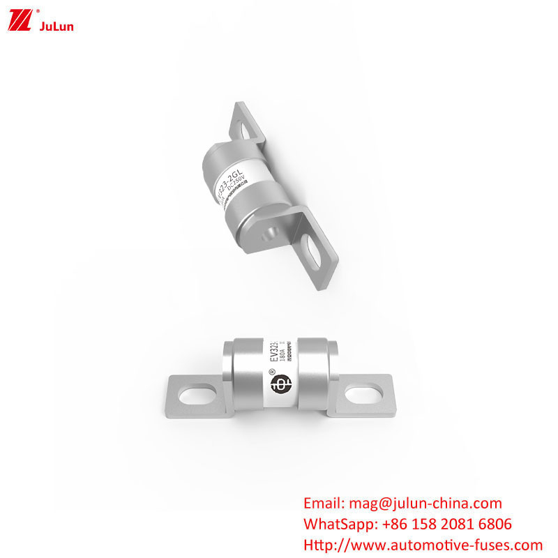 Electric Fuse for New Energy Vehicle 16A  20A 25A 32A 35A  40A 50A 63A  180A 250V 30KA OEM Logo