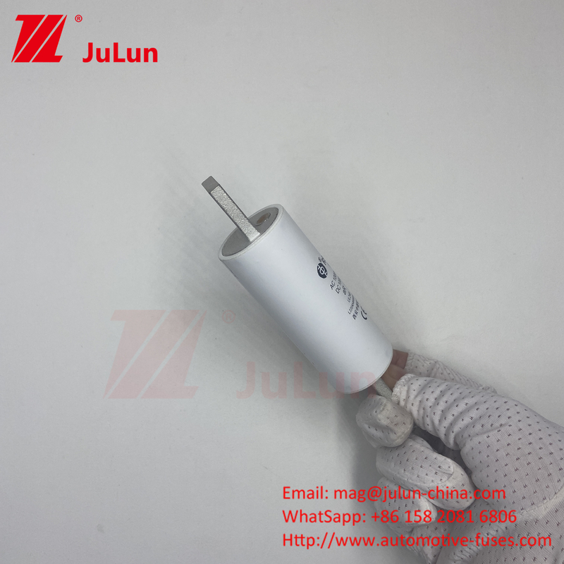 RS309-MM-EV200A Customizable EV Bolt Screw Fuse for Electric Vehicles 1000VDC 1000VAC