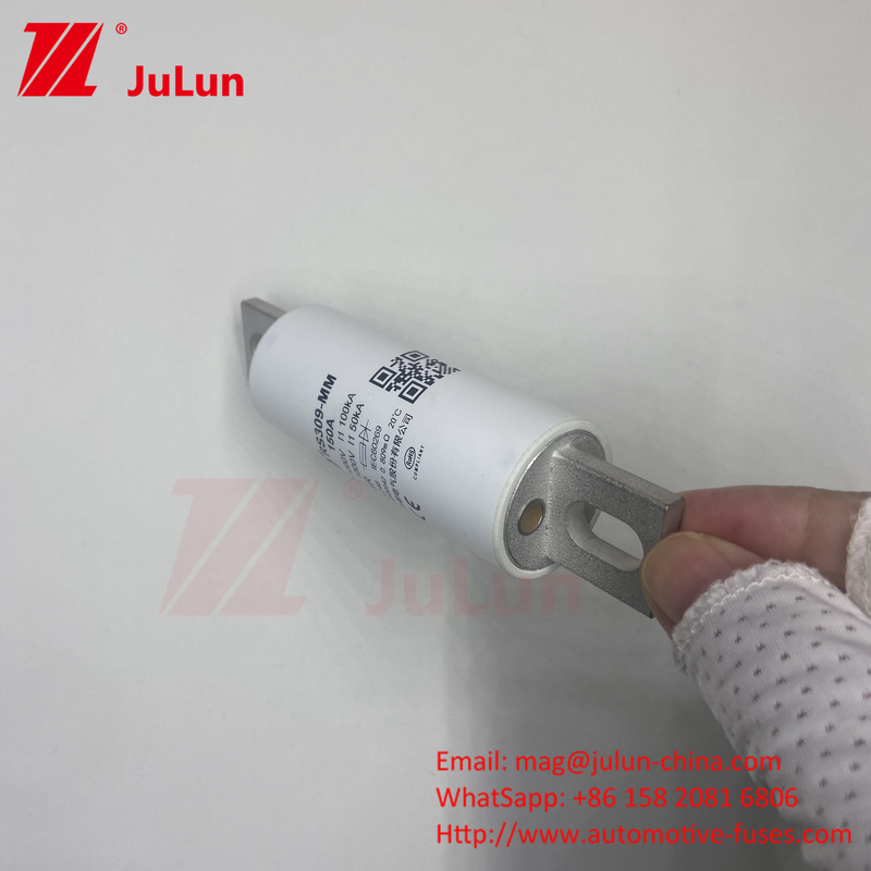 RS309-MM-EV250A 100KA Medium Voltage Electric Vehicle Fast Charging  / Ev Dc Fast Charger
