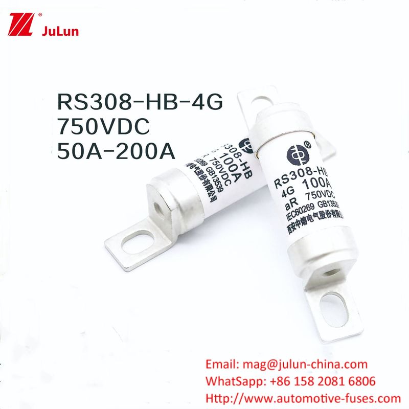 Ev Charger Adapter RS308-HB4G Series 32A 63A  100A Mini Fuses For Car