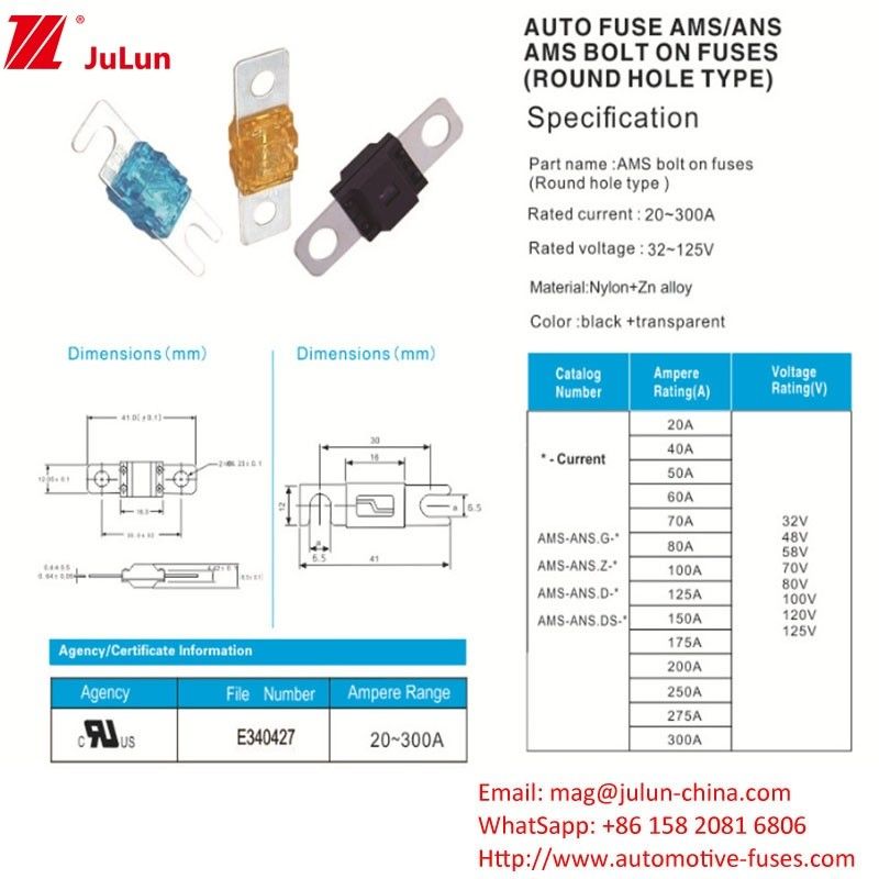 30-200A square car fuses for Electric Power System Protection Portable EV Charger  Car Audio Equipment